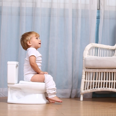 Logotipo personalizado Impresso PP Pástico Bebê Potty Toilet Training Seat - Eco Friendly Foldable Trainer